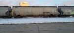 CEFX 70542